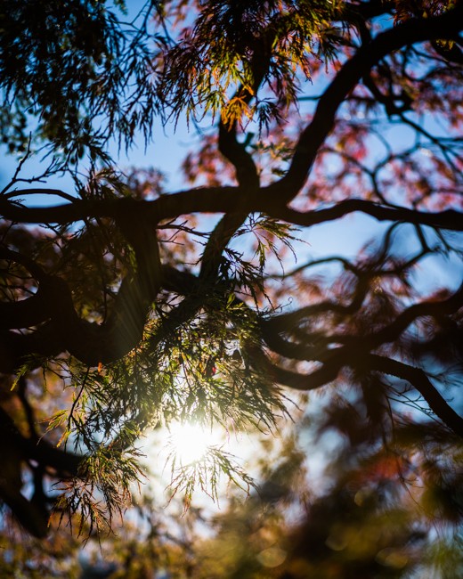 photograph by jimmy fountain. untitled, 2021