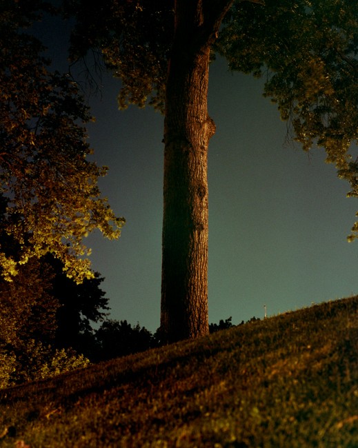 photograph by jimmy fountain. untitled, 2012