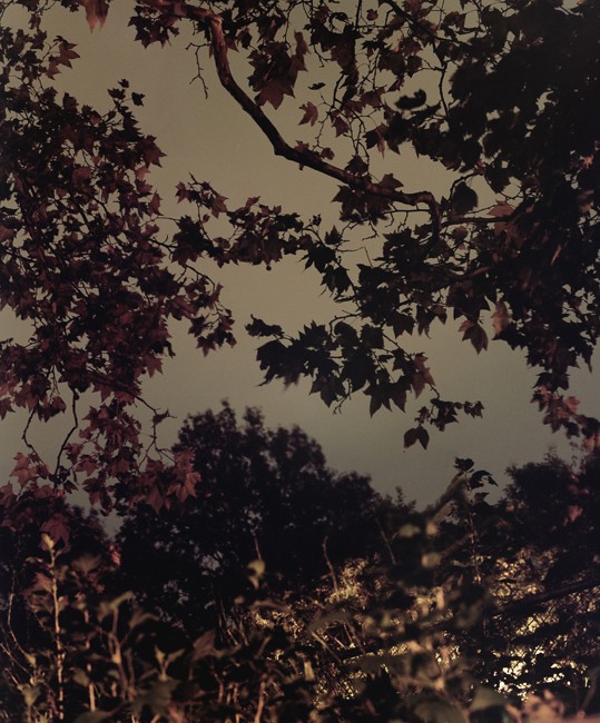 photograph by jimmy fountain. untitled, 2012