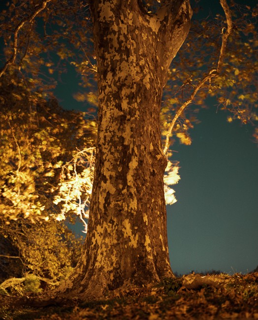 photograph by jimmy fountain. untitled, 2012