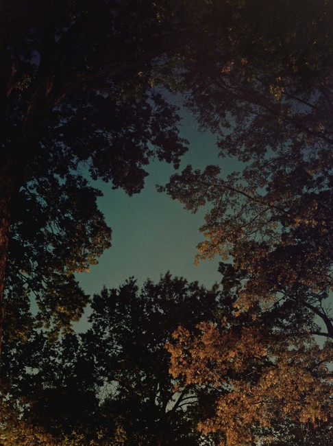 photograph by jimmy fountain. untitled, 2012