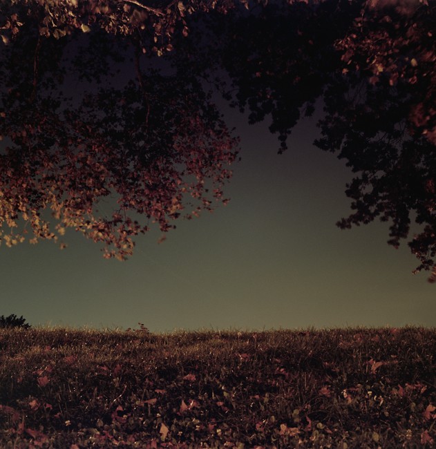 photograph by jimmy fountain. untitled, 2012